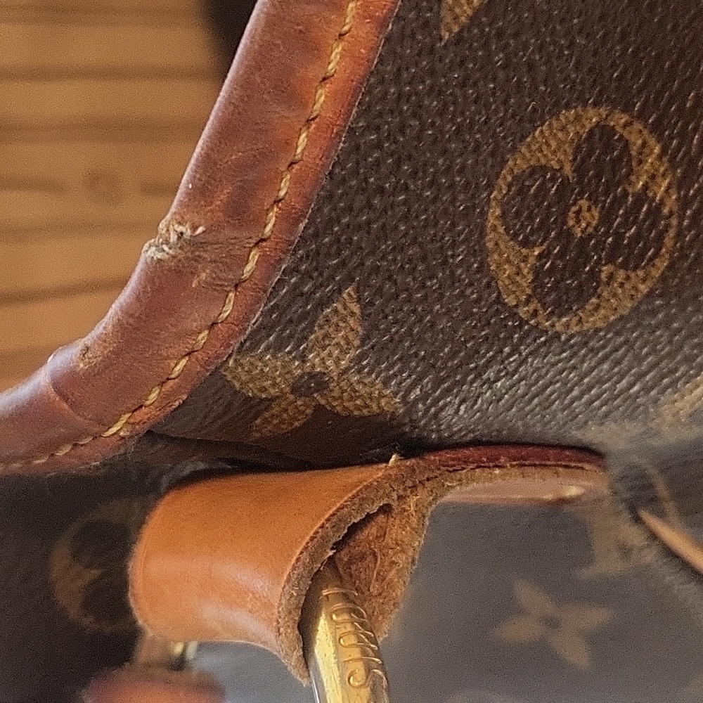 Host Pick ✨️ Louis Vuitton Delightful PM Purse - Picture 12 of 13